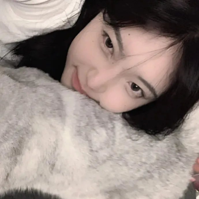 怪趣群鸟